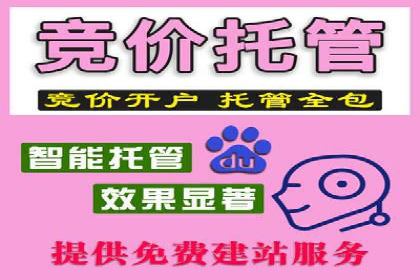 百度推广在旅游行业的应用案例